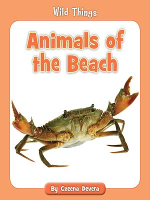 cover image of Animals of the Beach